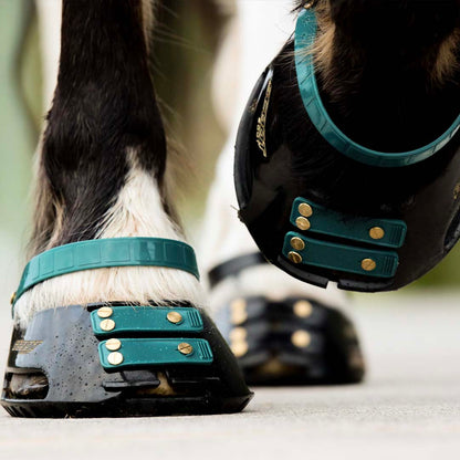 Scootboot Front Straps Standard - Emerald