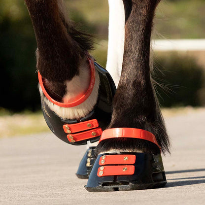 Scootboot Front Straps Standard - Hibiscus