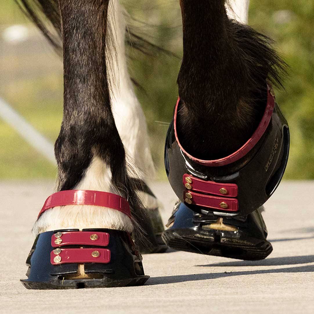 Scootboot Front Straps Standard - Mulberry