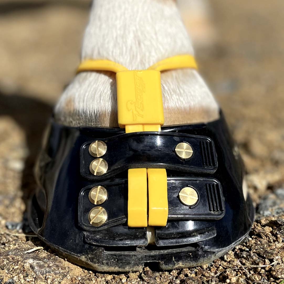 Scootboot Mud Strap Collars - Marigold