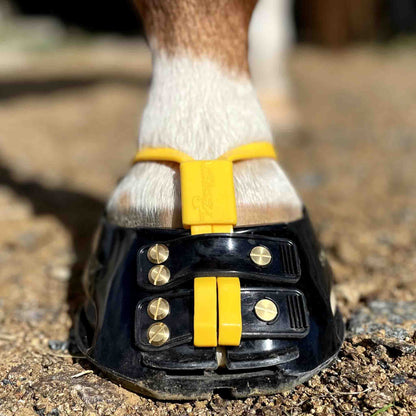 Scootboot Mud Straps - Marigold