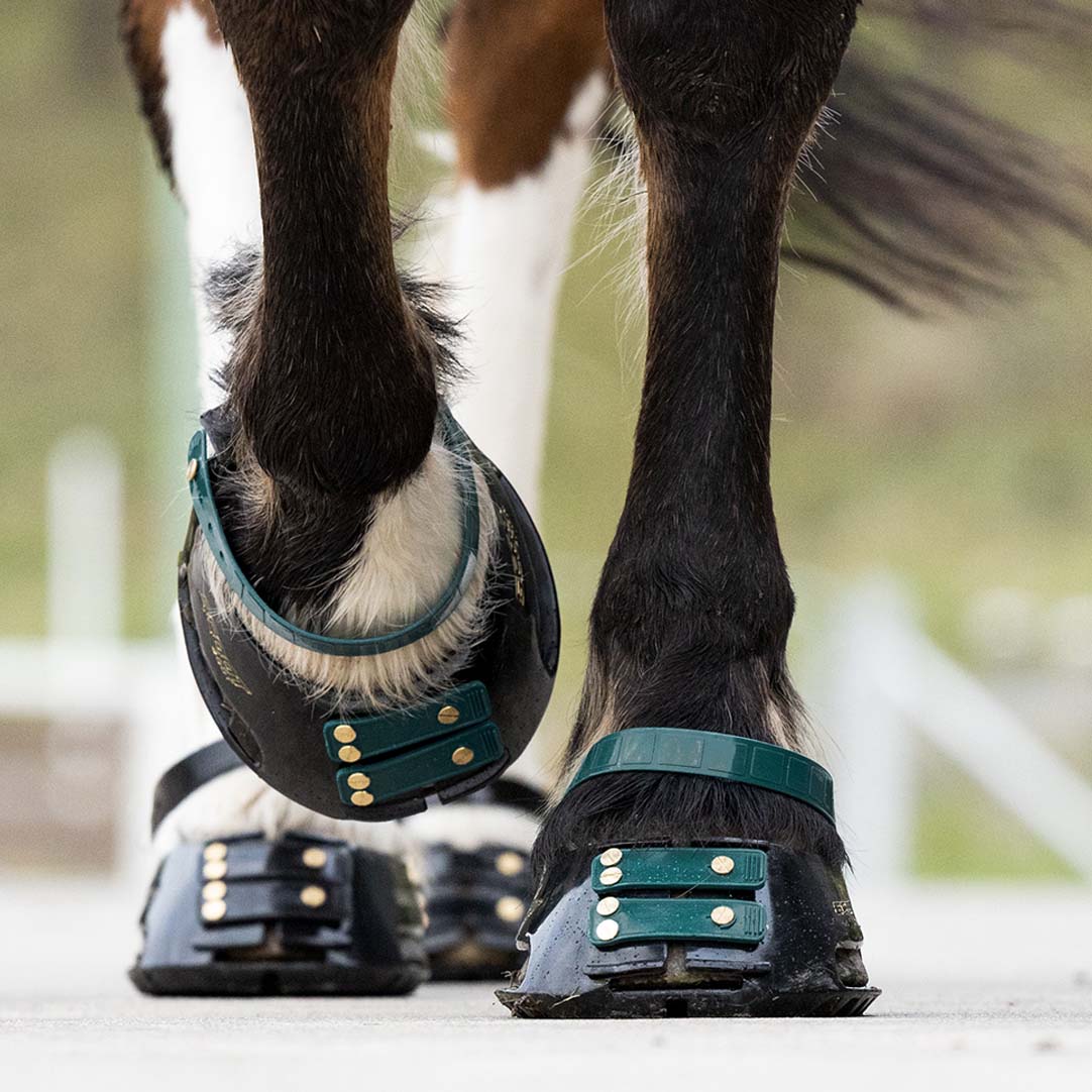 Scootboot Pastern Straps - Emerald