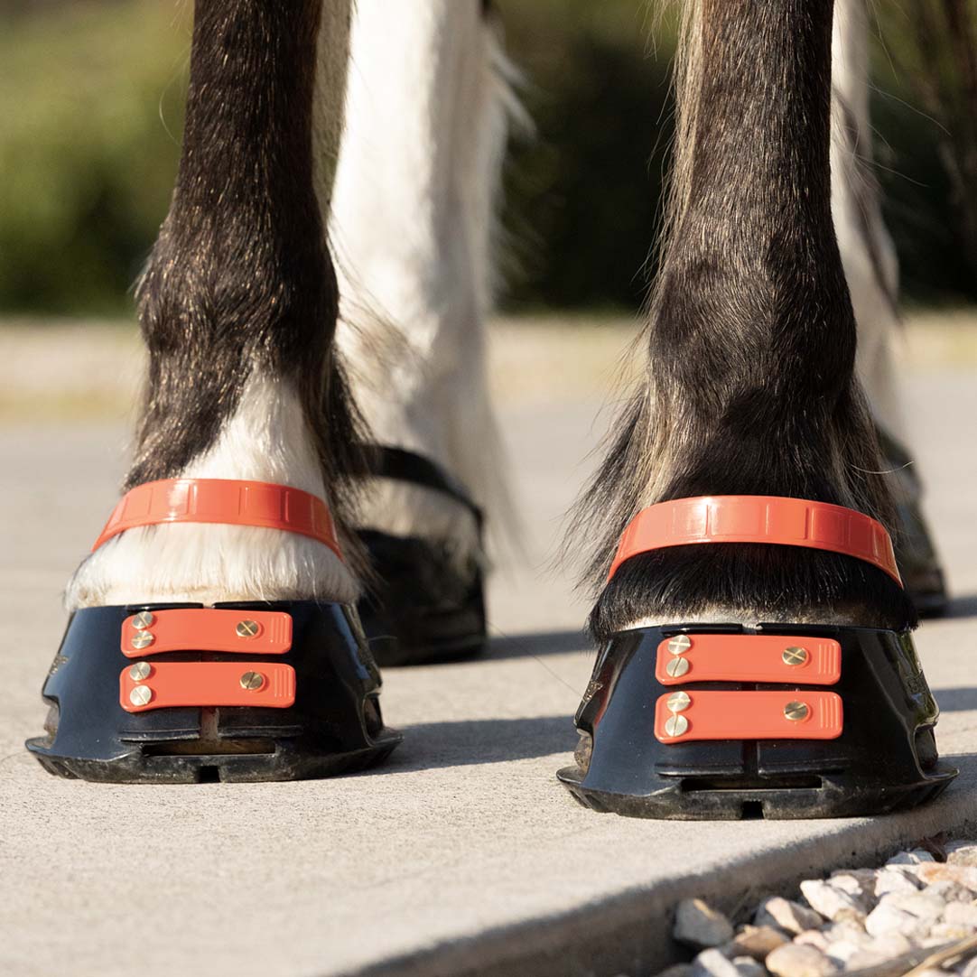 Scootboot Pastern Straps - Hibiscus