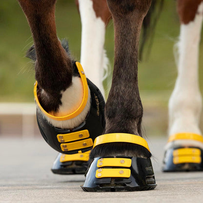 Scootboot Pastern Straps - Marigold