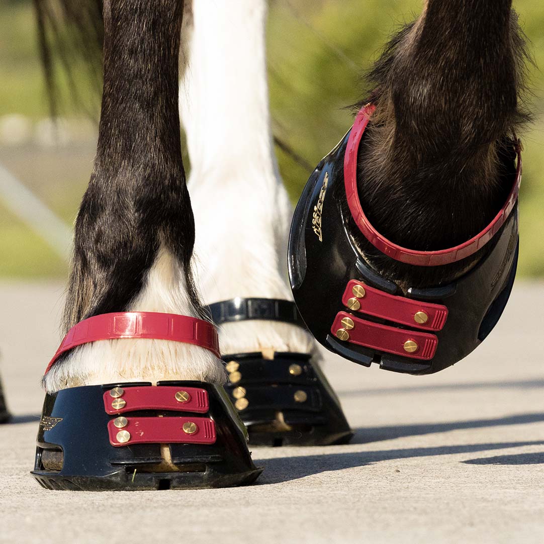 Scootboot Pastern Straps - Mulberry
