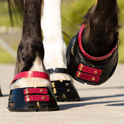 Scootboot Pastern Straps - Mulberry