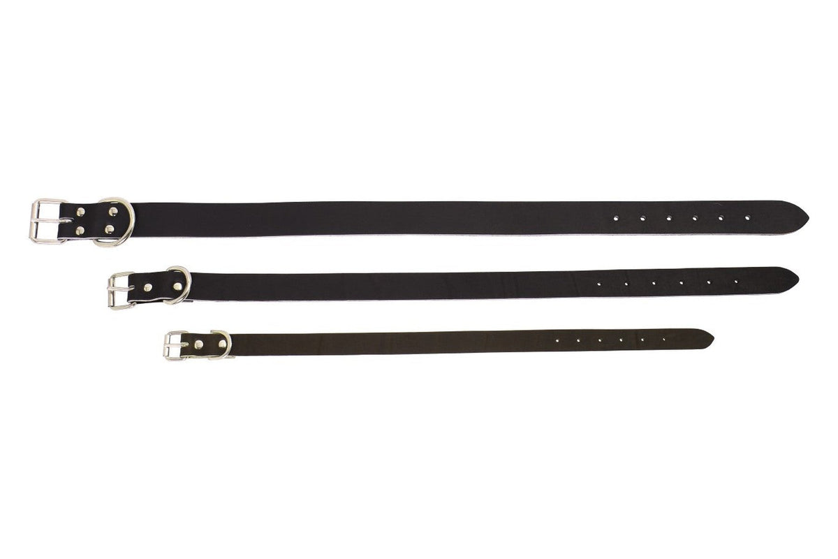 Standard Leather Dog Collar