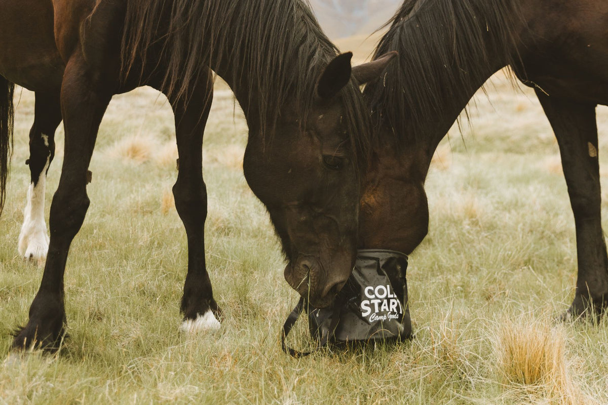 The Big Bucket | 20L Collapsible Feed &amp; Water Bucket - 2