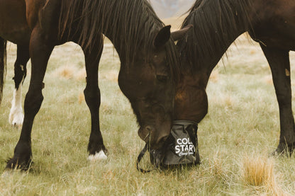 The Big Bucket | 20L Collapsible Feed &amp; Water Bucket - 2