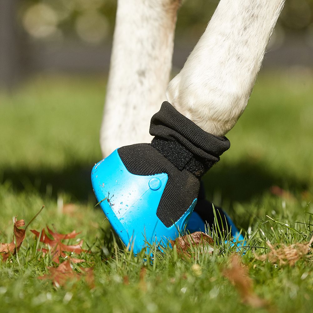 Tubbease Hoof Sock on a horse