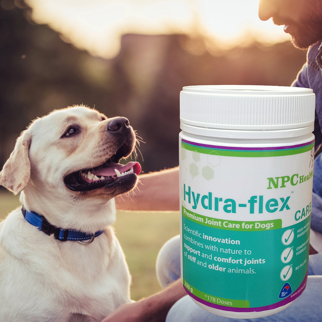 NPC Hydra-flex CARE | Ultra comfort for stiff dogs