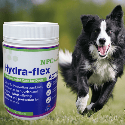 NPC Health Hydra-flex Canine Joint Supplement