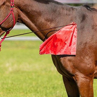 Zilco Training Flag Whip