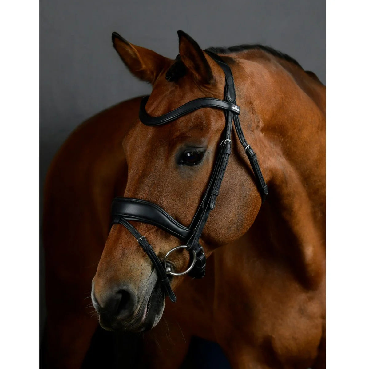 Collegiate Comfitec Opulux Padded Dressage Bridle