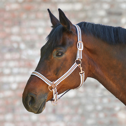 Waldhausen Halter Rose Shine - 2