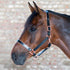 Waldhausen Halter XLine
