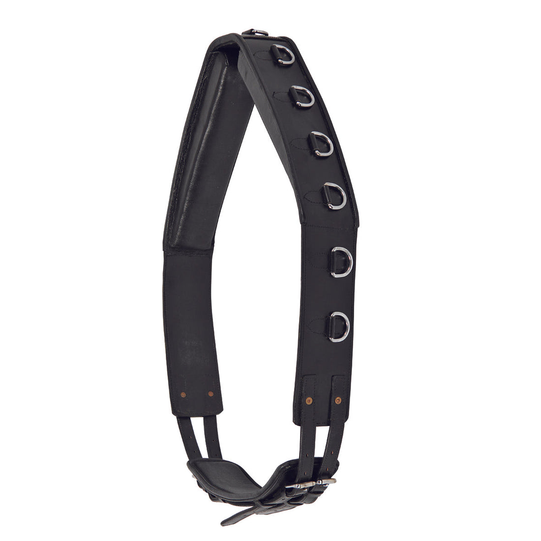 Waldhausen Lunging Surcingle Leather Star