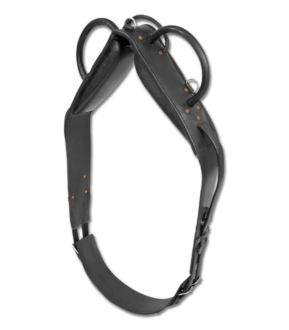 Waldhausen Vaulting &amp; Lunging Surcingle - 2