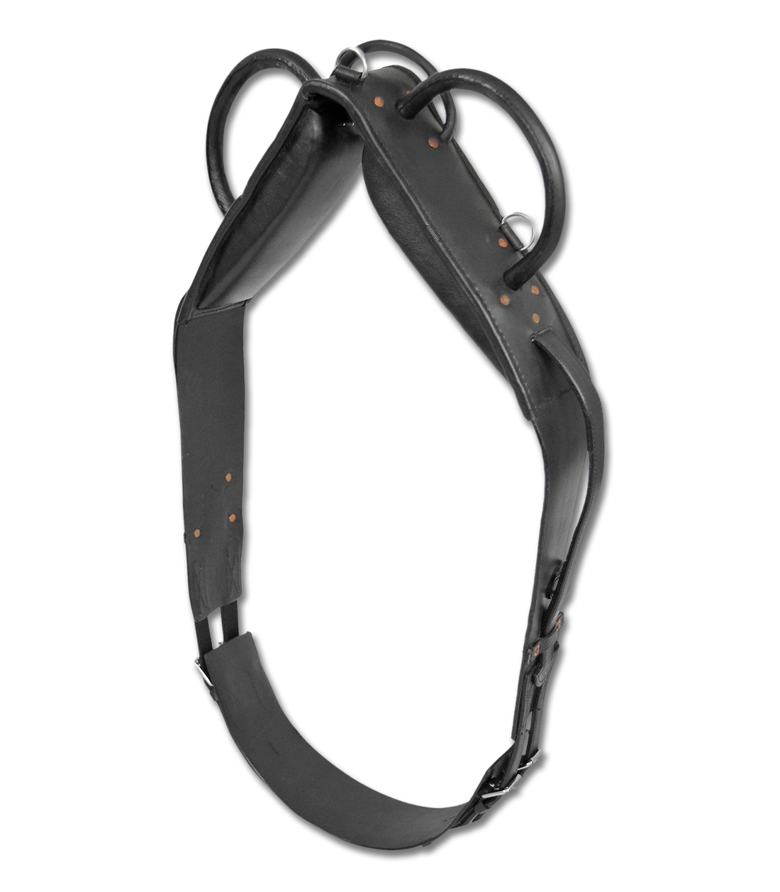 Waldhausen Vaulting &amp; Lunging Surcingle