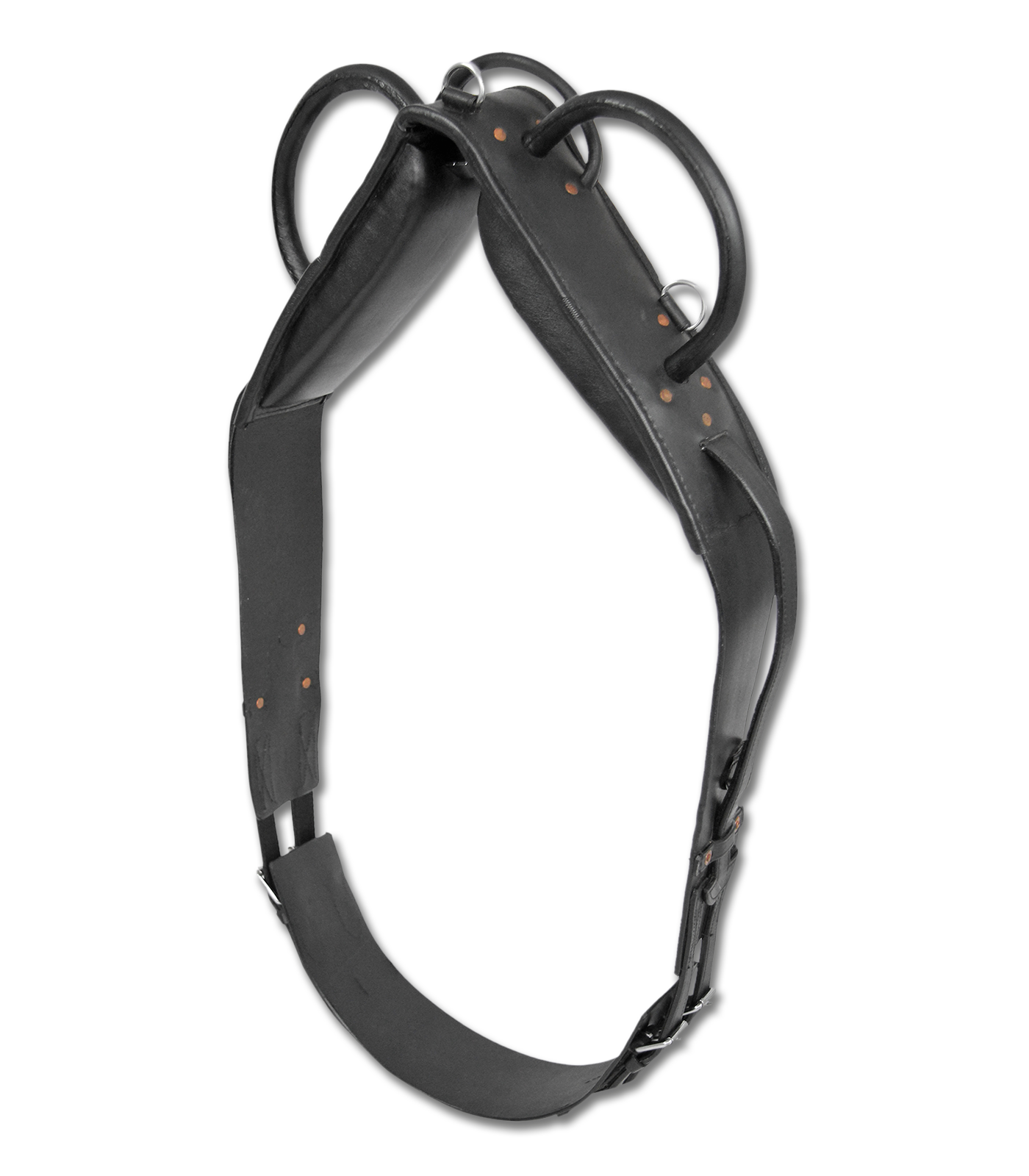 Waldhausen Vaulting &amp; Lunging Surcingle