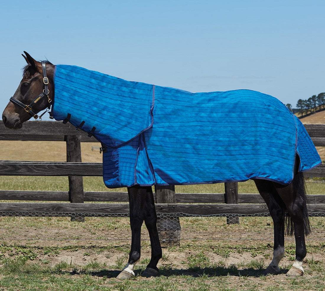 Weatherbeeta 18oz Canvas Combo - Blue Hero 2
