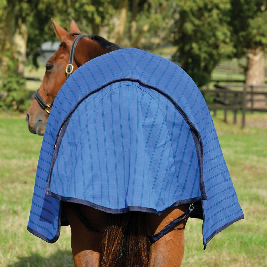 Weatherbeeta 18oz Canvas Standard Neck - 2