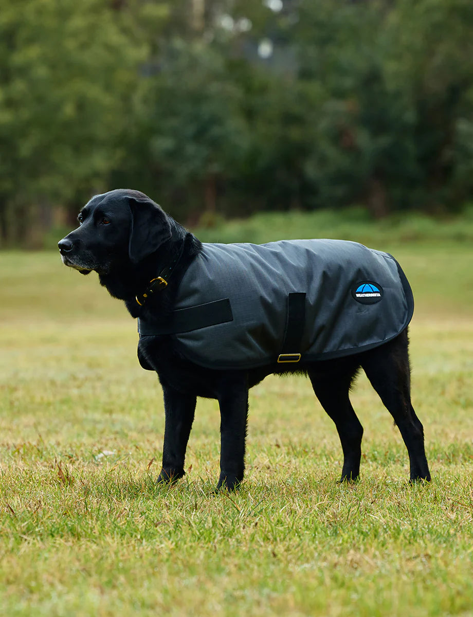Weatherbeeta Comfitec Classic Waterproof Dog Coat - Charcoal