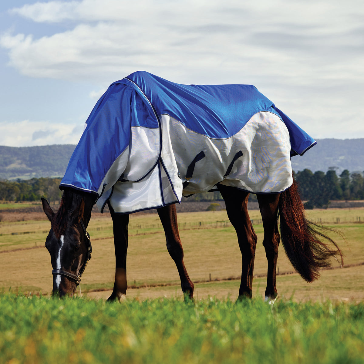 Weatherbeeta ComFiTec Duo Shield Lite Detach-A-Neck - Grazing