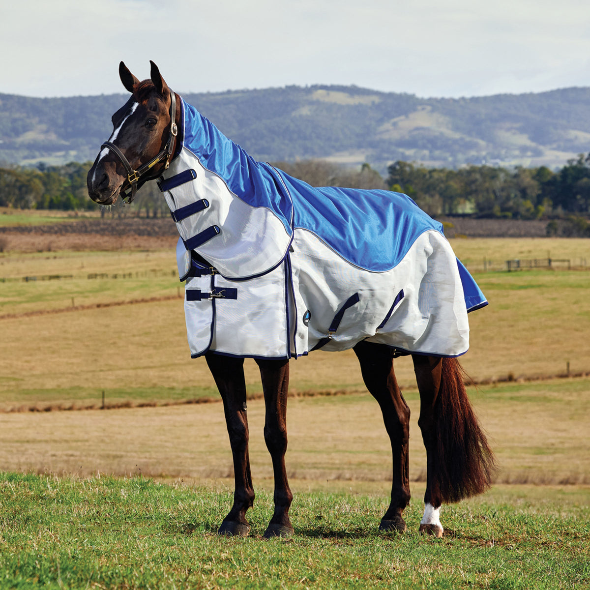 Weatherbeeta ComFiTec Duo Shield Lite Detach-A-Neck - Blue/Silver/Navy