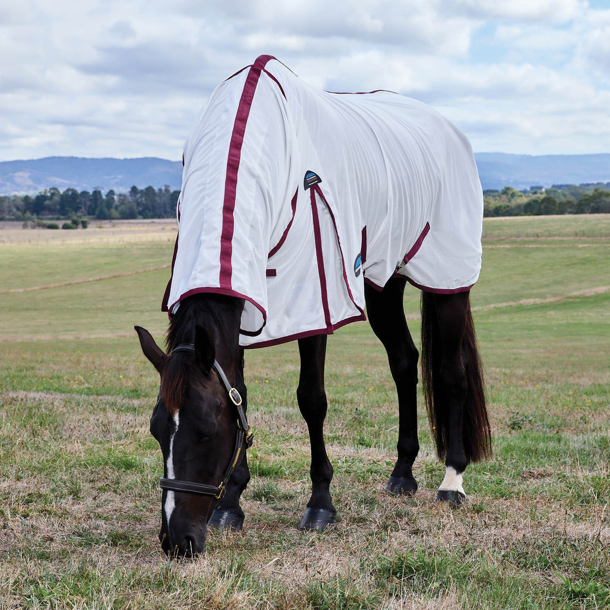 Weatherbeeta ComFiTec Essential Fly Sheet Combo - Grazing