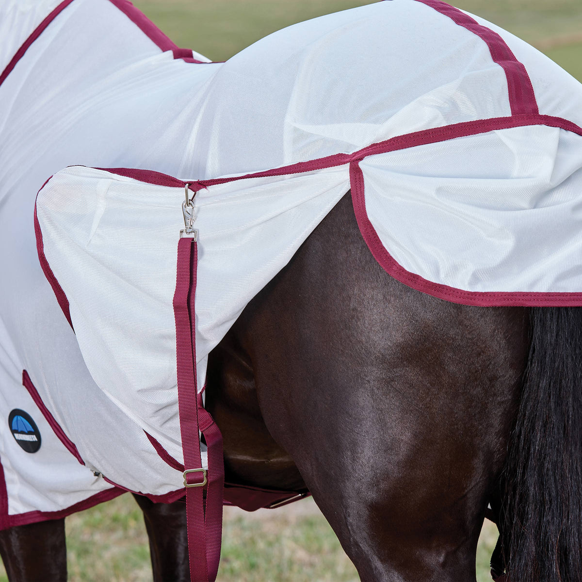 Weatherbeeta ComFiTec Essential Fly Sheet Combo - Leg Straps