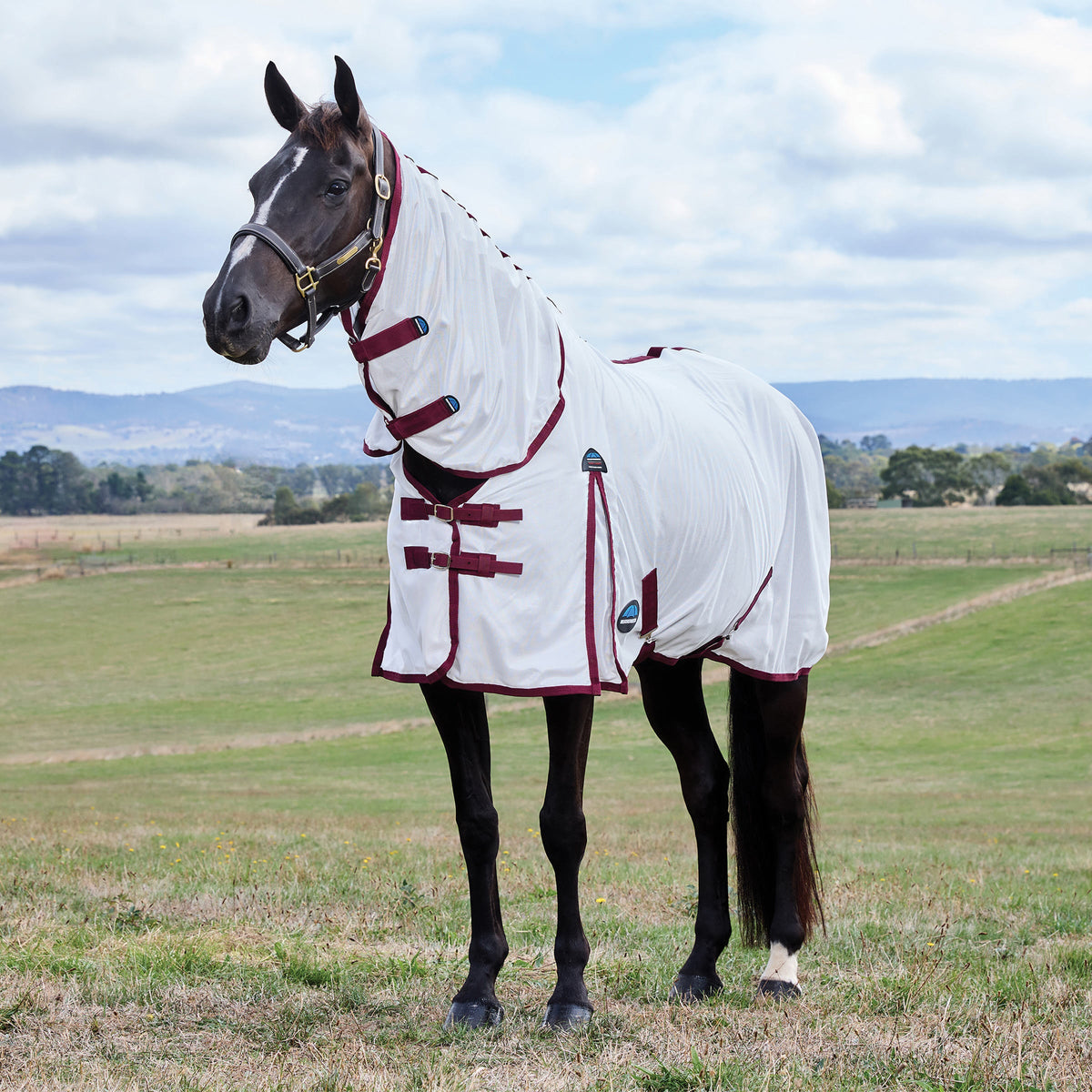 Weatherbeeta ComFiTec Essential Fly Sheet Combo - White/Burgundy
