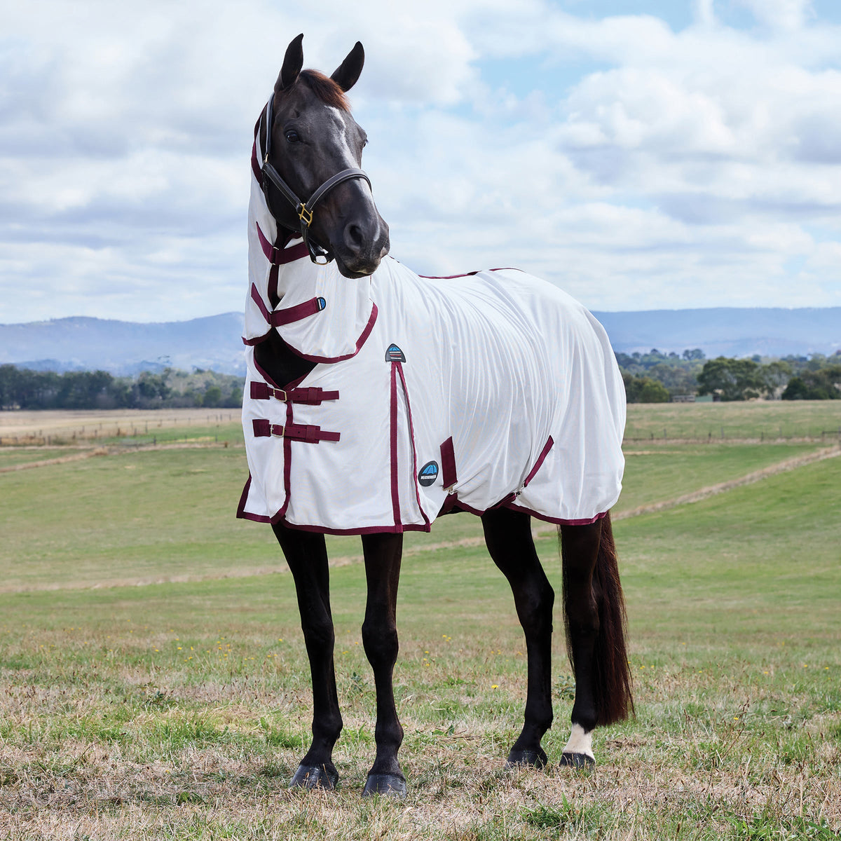Weatherbeeta ComFiTec Essential Fly Sheet Combo