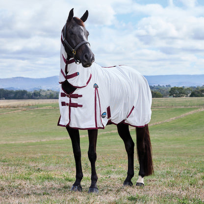Weatherbeeta ComFiTec Essential Fly Sheet Combo