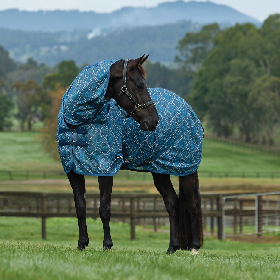 Weatherbeeta ComFiTec Limited Edition Fly Sheet Combo - Paisley Print 2