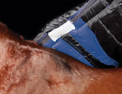 Weatherbeeta ComfiTec Plus Dynamic II Combo - 2