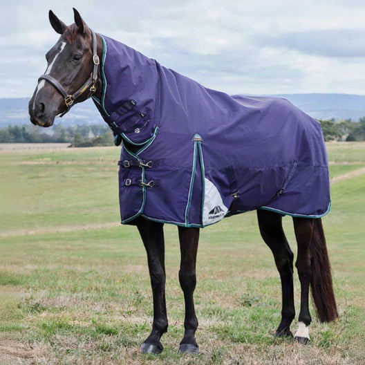 Weatherbeeta ComfiTec Plus Dynamic Turnout Combo