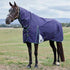 Weatherbeeta ComfiTec Plus Dynamic Turnout Combo