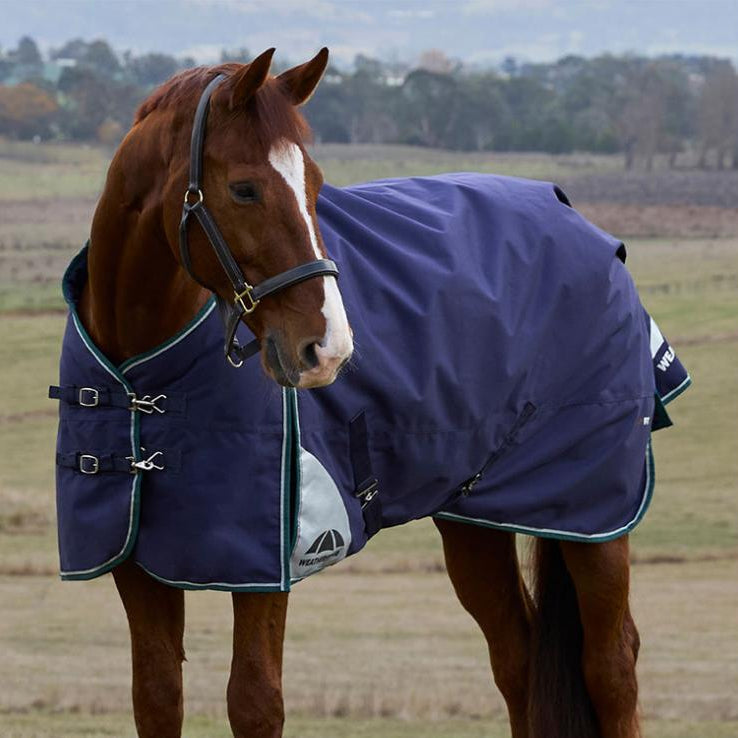 Weatherbeeta ComfiTec Plus Dynamic Turnout Standard Neck - 2