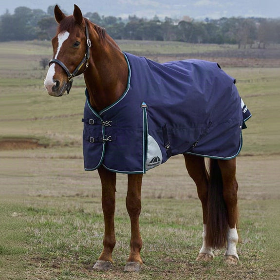 Weatherbeeta ComfiTec Plus Dynamic Turnout Standard Neck