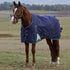 Weatherbeeta ComfiTec Plus Dynamic Turnout Standard Neck