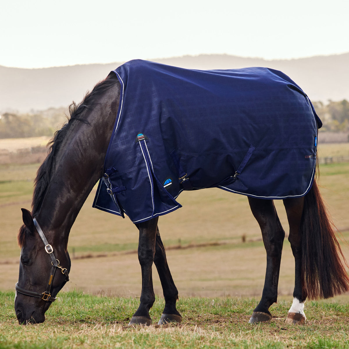 Prelim Turnout Standard Neck 0g - grazing