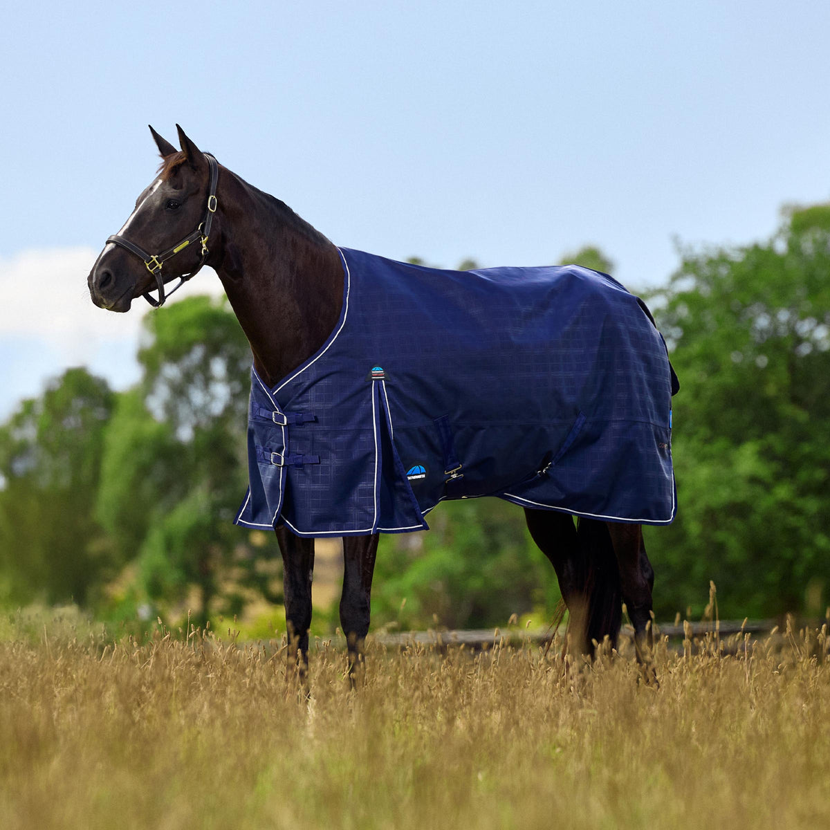 Weatherbeeta Comfitec Prelim Turnout Standard Neck 0g - Navy Embossed Plaid