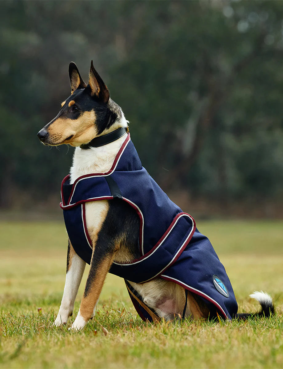Weatherbeeta Comfitec Premier Deluxe Waterproof Dog Coat - 2