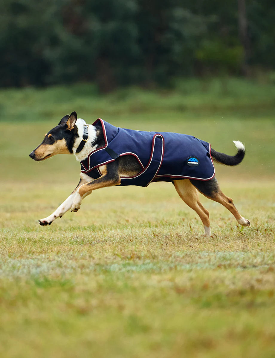 Weatherbeeta Comfitec Premier Deluxe Waterproof Dog Coat - 3