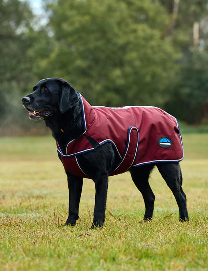 Weatherbeeta Comfitec Premier Deluxe Waterproof Dog Coat - 6