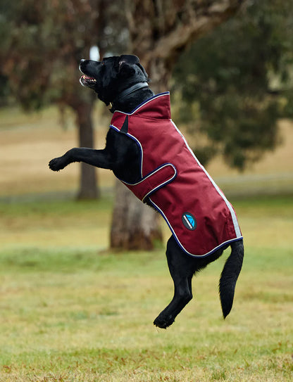 Weatherbeeta Comfitec Premier Deluxe Waterproof Dog Coat - 7