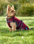 Weatherbeeta Comfitec Premier Deluxe Waterproof Dog Coat - Burgundy Navy