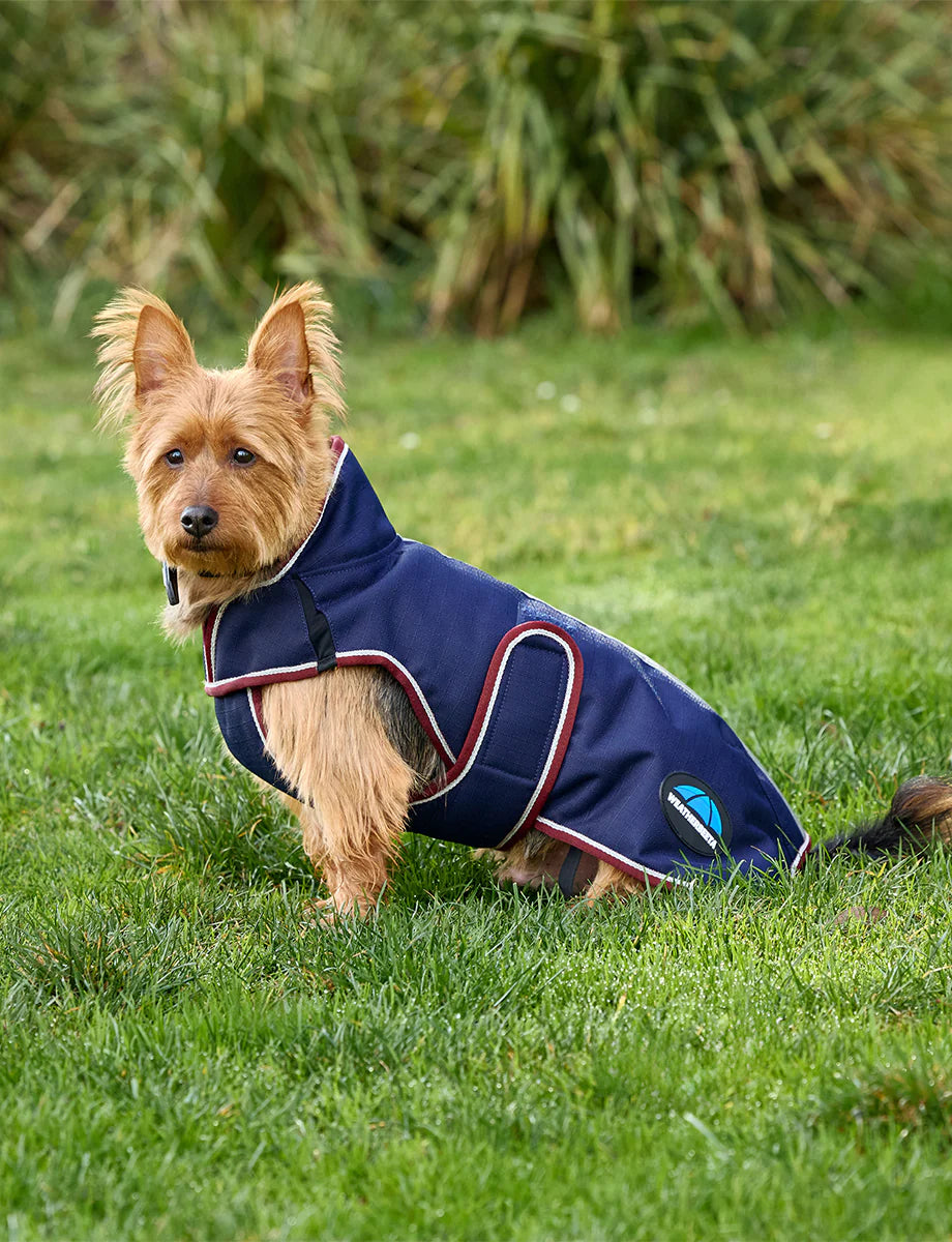 Weatherbeeta Comfitec Premier Deluxe Waterproof Dog Coat - Navy Burgundy