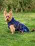 Weatherbeeta Comfitec Premier Deluxe Waterproof Dog Coat - Navy Burgundy
